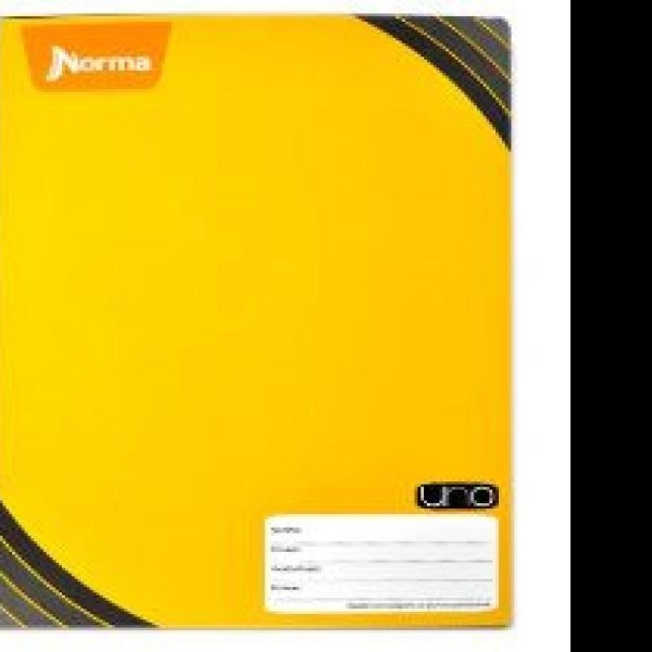 CUADERNO PROF. COSIDO UNO 582883 C7 100H PZA